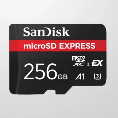 SANDISK Express microSD Card, 256GB