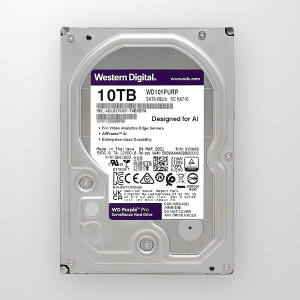 WD WD101PURP